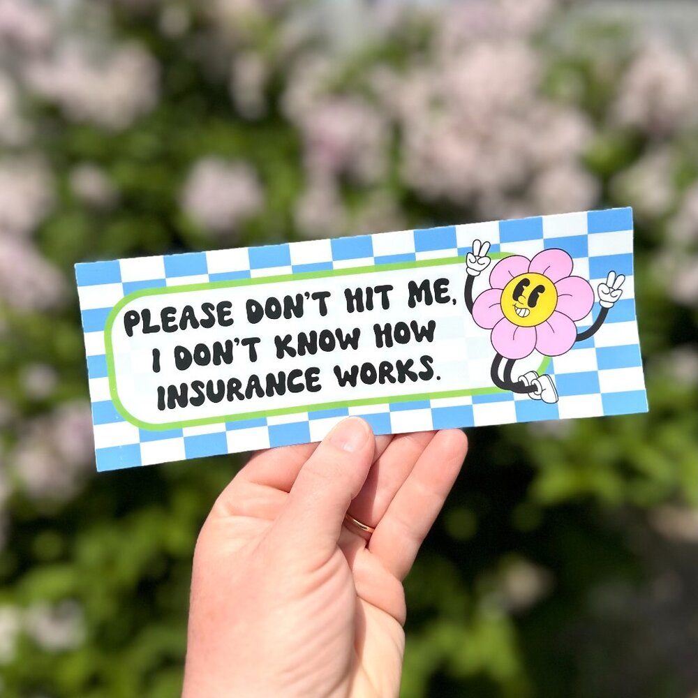 Please Don't Hit Me Bumper Sticker